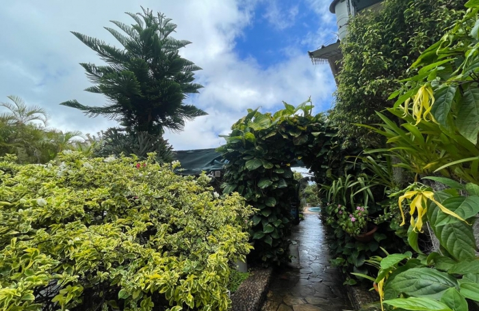 À vendre : Villa spacieuse de 240 m2 à Sainte Clotilde, secteur Bois de Nèfles