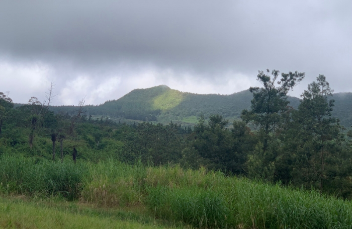 Vente Maison 320m&sup2; 10 pi&#232;ces Saint Louis