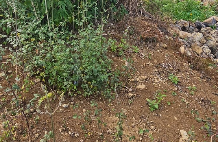 Vente Terrain 1435m&sup2; Saint Gilles Les Hauts