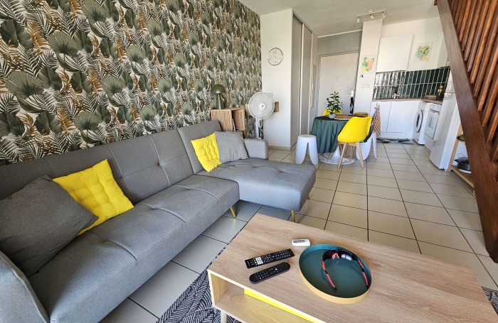 Location Appartement 97490