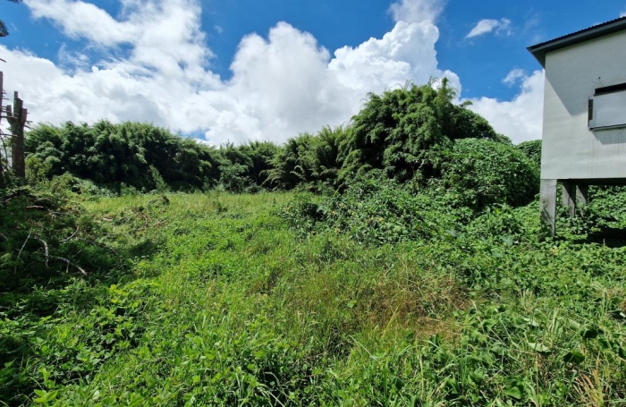 Vente Maison 91m&sup2; 3 pi&#232;ces Plaine des Palmistes