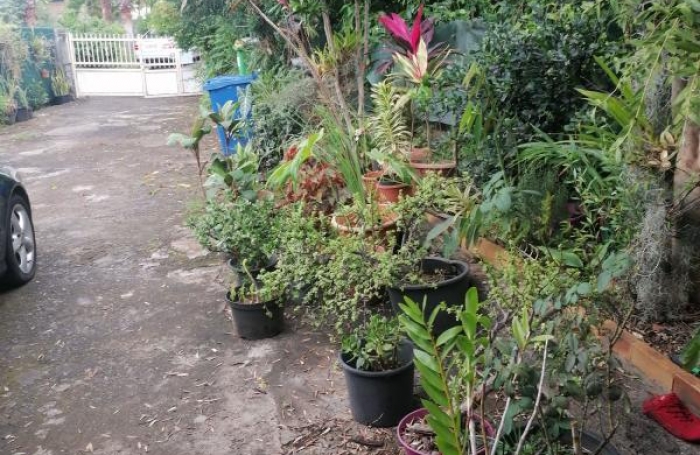 Vente Maison 5 pièces Saint Paul