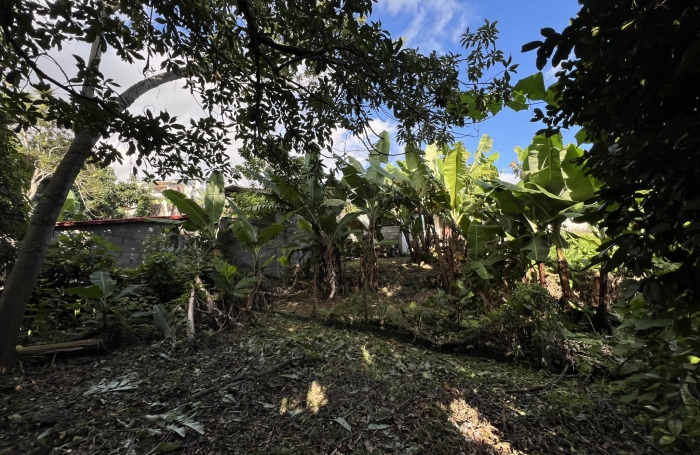 TAMPON 97430 - MAISON DE PLAIN PIED &Agrave; RAFRA&Icirc;CHIR - SECTEUR PRIS&Eacute;