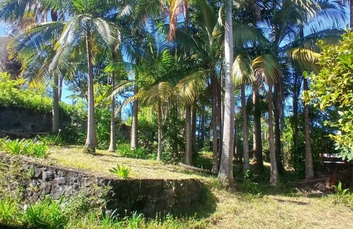 Vente Maison 170m&sup2; 3 pi&#232;ces Petite île