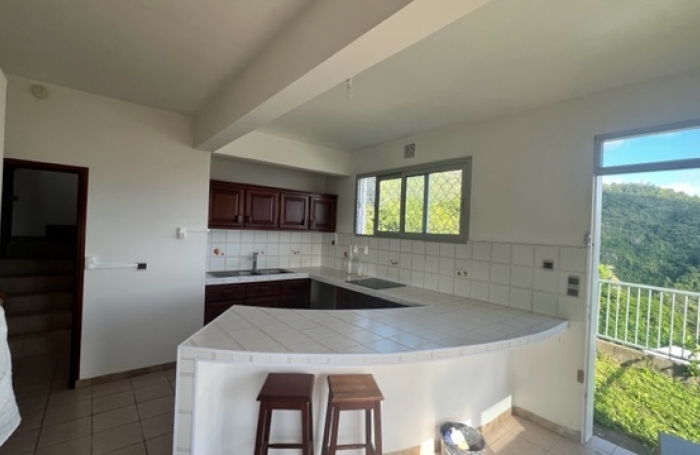 Maison type T5, Les camélias