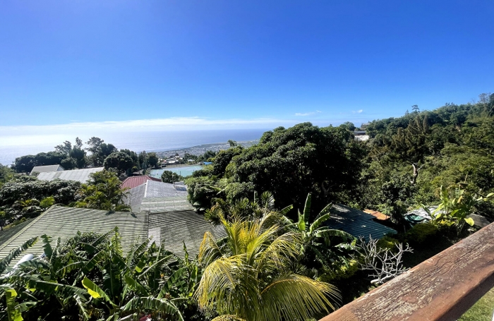 Vente Maison 163.2m² 6 pièces Saint Denis