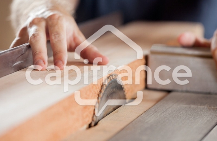 Vente Divers 740m&sup2; 10 pi&#232;ces Rivière Saint Louis