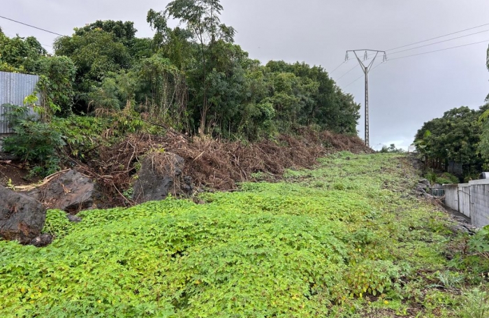 Vente Terrain 451m&sup2; Saint-Pierre