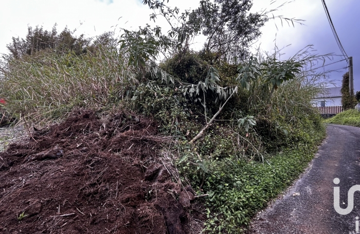 Vente Terrain 7682m&sup2; Plaine des Palmistes