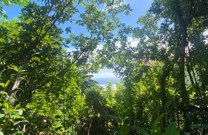 Vente Terrain 545m&sup2; Sainte Clotilde