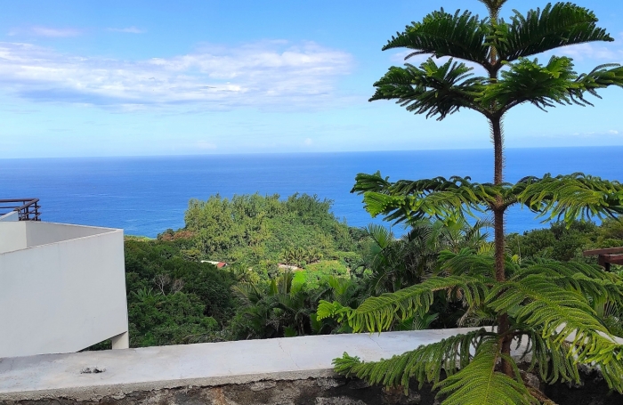 Vente Divers 410m&sup2; 8 pi&#232;ces Petite île