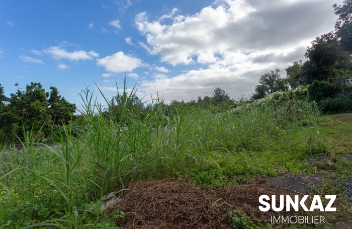 Vente Terrain 843m² Le Tampon