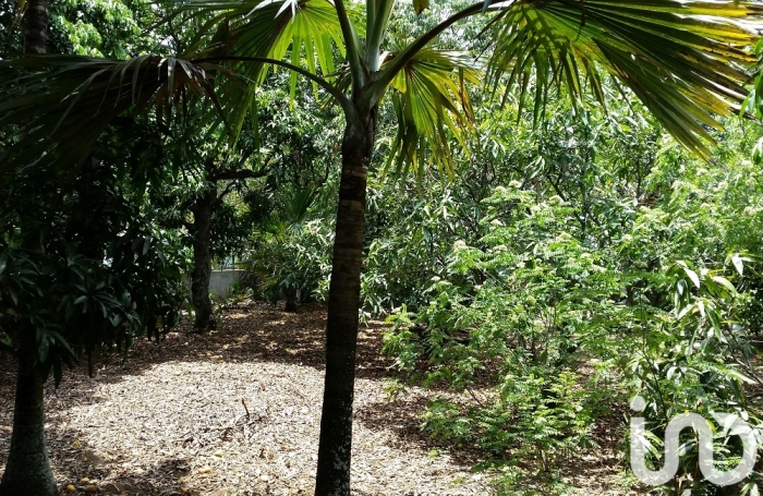 Vente Terrain 400m&sup2; Ravine des Cabris