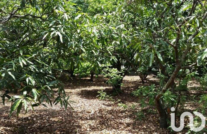 Vente Terrain 400m&sup2; Ravine des Cabris