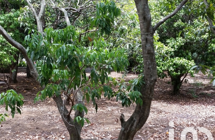 Vente Terrain 400m&sup2; Ravine des Cabris