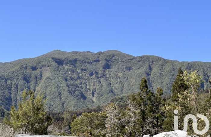 Vente Terrain 4841m&sup2; Plaine des Palmistes