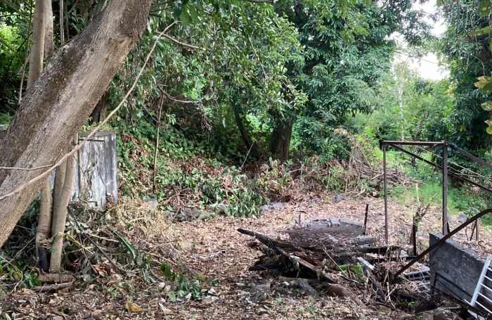 Vente Terrain 493m&sup2; Bois de Nefles St Paul