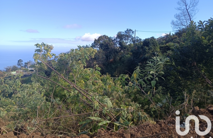 Vente Terrain 2062m&sup2; La Chaloupe Saint Leu