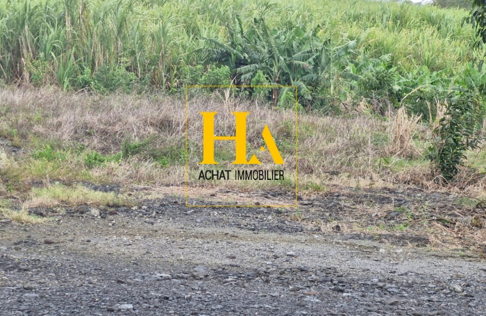 Vente Terrain 458m² Sainte Rose