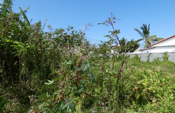 Vente Terrain 511m&sup2; Saint-Benoît