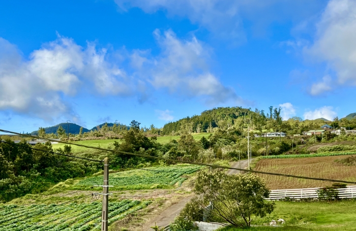 TAMPON 97430 - VILLA ATYPIQUE - BEAUX VOLUMES - VASTE PARCELLE - QUARTIER RÉSIDENTIEL