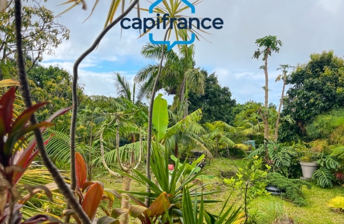 Vente Fonds de commerce 330m&sup2; 3 pi&#232;ces Sainte Rose