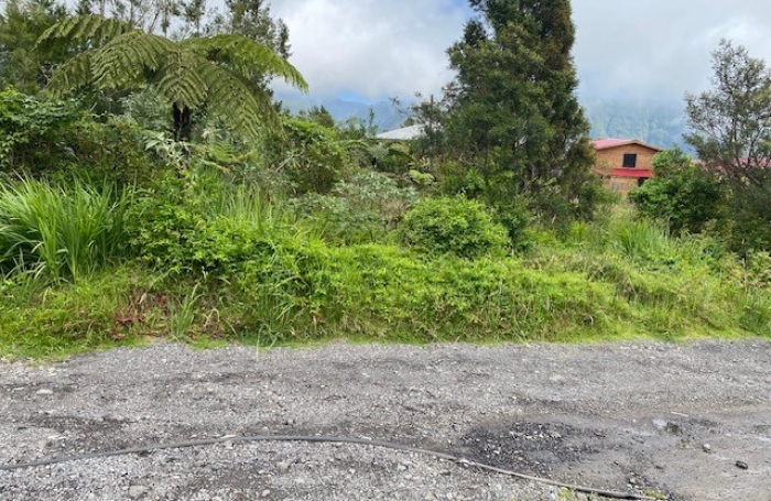 TERRAIN CONSTRUCTIBLE PLAINE DES PALMISTES