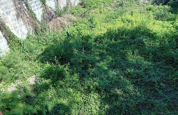 Vente Terrain 571m&sup2; Bois de Nefles St Paul