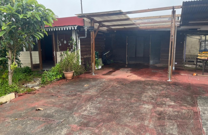 Lot de 2 biens maison plus local commerce à La Plaine des Palmistes