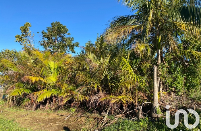 Vente Maison 90m&sup2; 6 pi&#232;ces Les Avirons