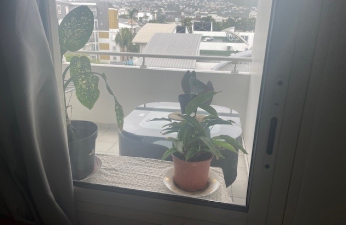 T2 VUE MONTAGNE STE CLOTILDE centre LOUE actuellement