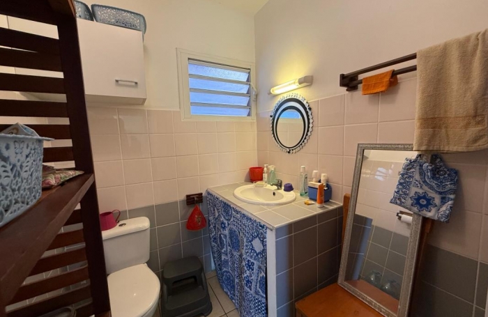 Vente Immeuble 125m&sup2; 7 pi&#232;ces Saint-Pierre