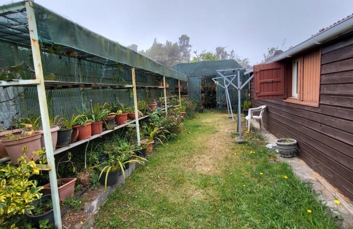 Deux maison sur terrain de 1325 m2 à la Plaine des Cafes