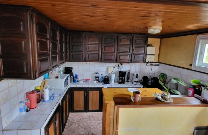 Deux maison sur terrain de 1325 m2 à la Plaine des Cafes