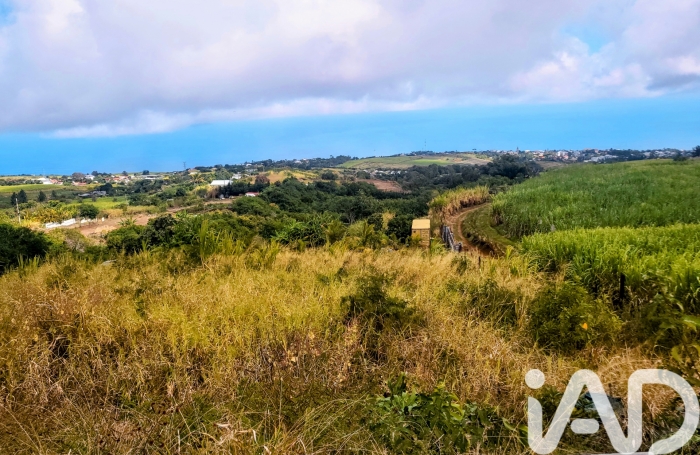 Vente Terrain 11990m&sup2; La Saline les Hauts