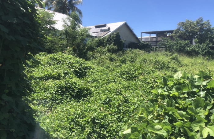 TERRAIN SAINT-LOUIS BOIS DE NEFLE COCO 381M2 ZONE UB