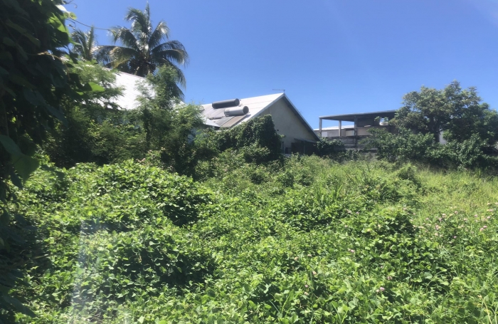 TERRAIN SAINT-LOUIS BOIS DE NEFLE COCO 381M2 ZONE UB