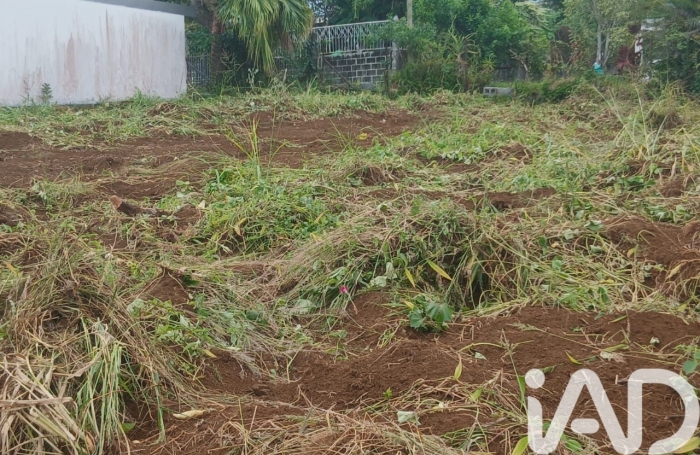 Vente Terrain 97460