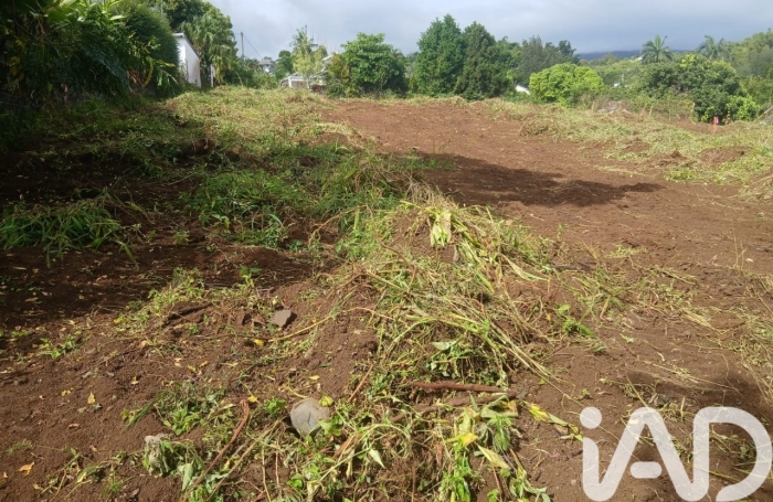 Vente Terrain 97423