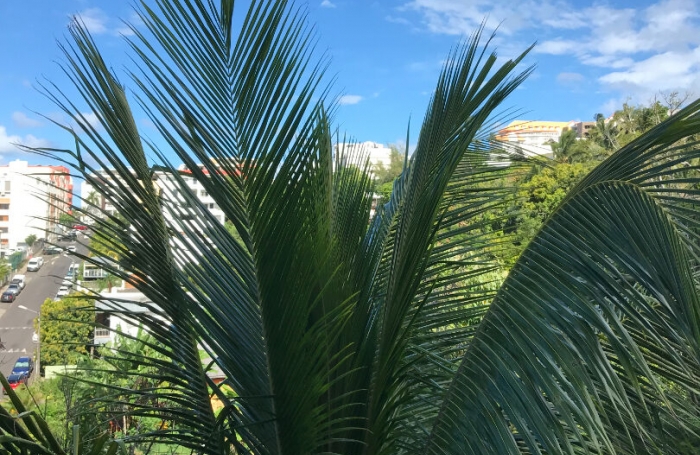 Location Appartement 28.16m² 1 pièce Saint Denis