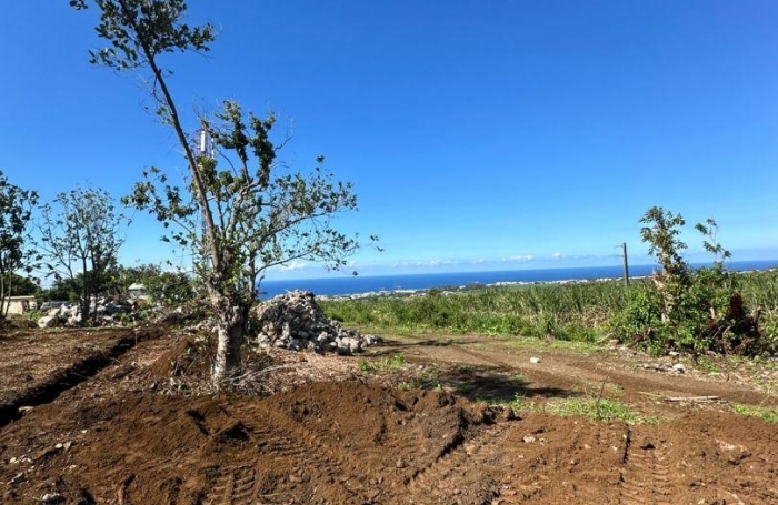 Vente Terrain 274m&sup2; Sainte Marie