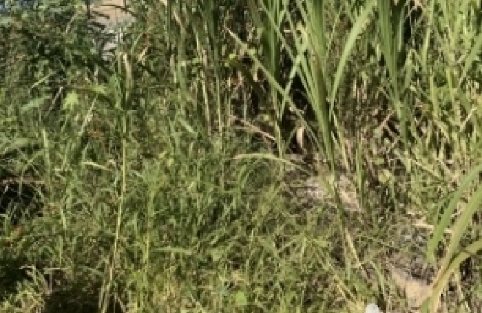 Vente Terrain 372m&sup2; Saint-Pierre