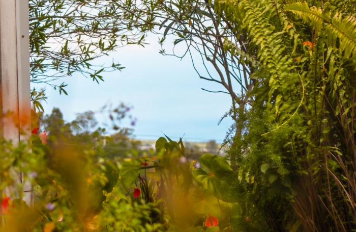 Vente Maison 681m&sup2; 17 pi&#232;ces Saint Gilles Les Hauts