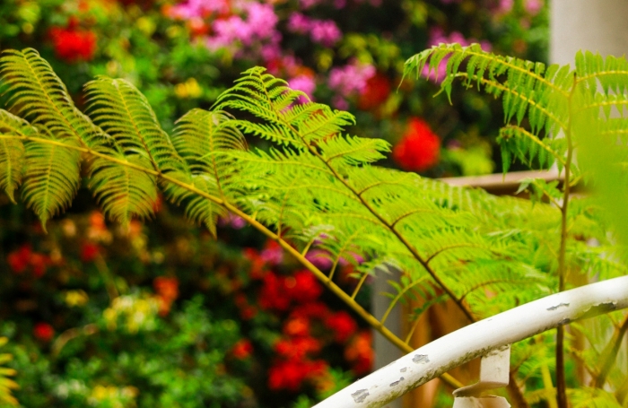 Vente Maison 681m&sup2; 17 pi&#232;ces Saint Gilles Les Hauts