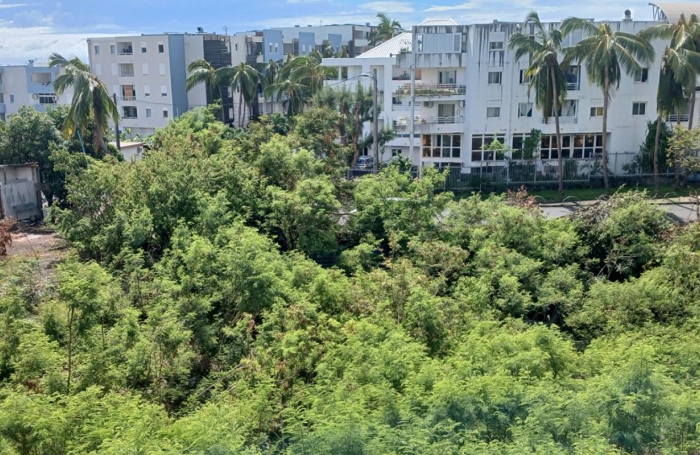 Vente Appartement 41.86m&sup2; 1 pi&#232;ce Sainte Clotilde