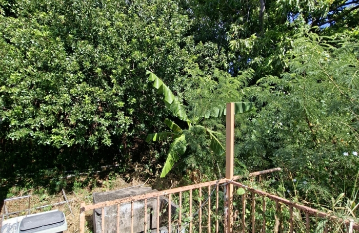 Vente Terrain 1603m&sup2; Sainte Clotilde