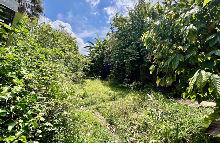 ENTRE DEUX 97414 - VILLA FONCTIONNELLE + BUNGALOW - VASTE TERRAIN ARBORE - CADRE VERDOYANT