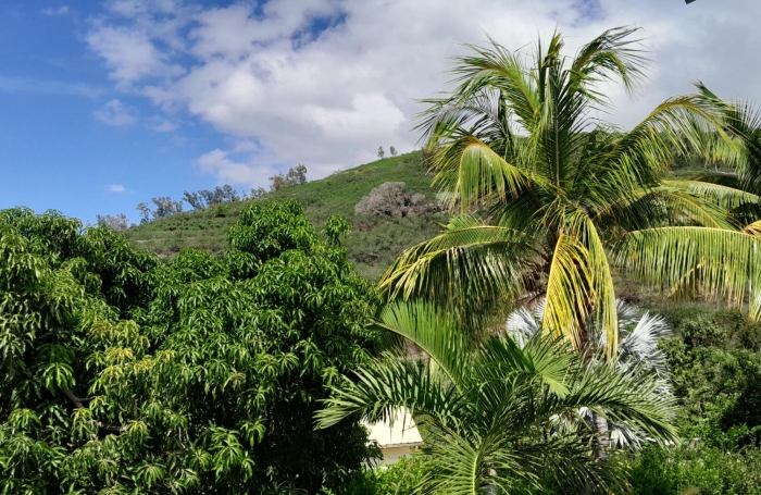 Location Appartement 62.78m&sup2; 3 pi&egrave;ces Saint Gilles les Bains