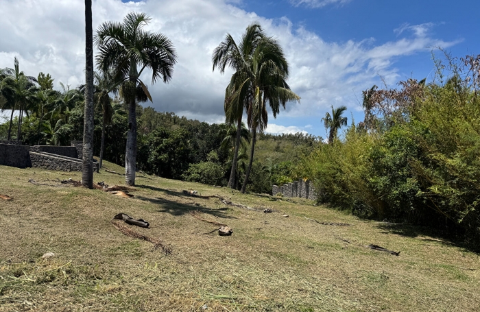 Vente Terrain 585m&sup2; La Montagne