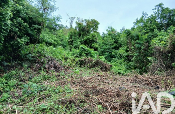 Vente Terrain 450m&sup2; Bois de Nefles St Paul